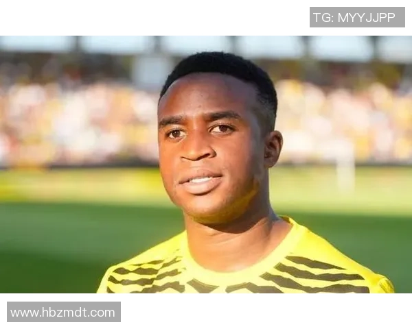 多特蒙德足球明星穆科科的崛起与未来展望解析