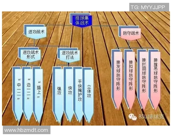 武汉排球队整体压制战术分析与战绩影响探讨