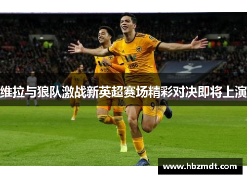 维拉与狼队激战新英超赛场精彩对决即将上演